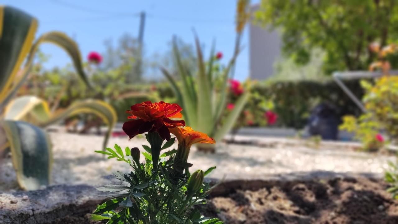 Villa Elina House And Garden Nikiti  Exterior foto